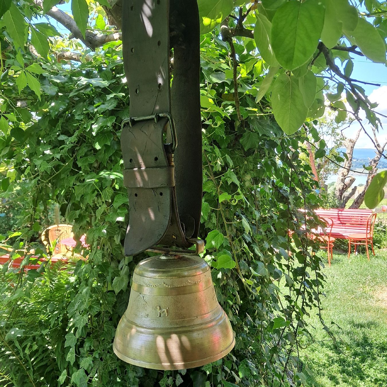 Campanacci mucche: Schöne ALTE GLOCKE  – Usato da Murten venduto da SHETHOF 9