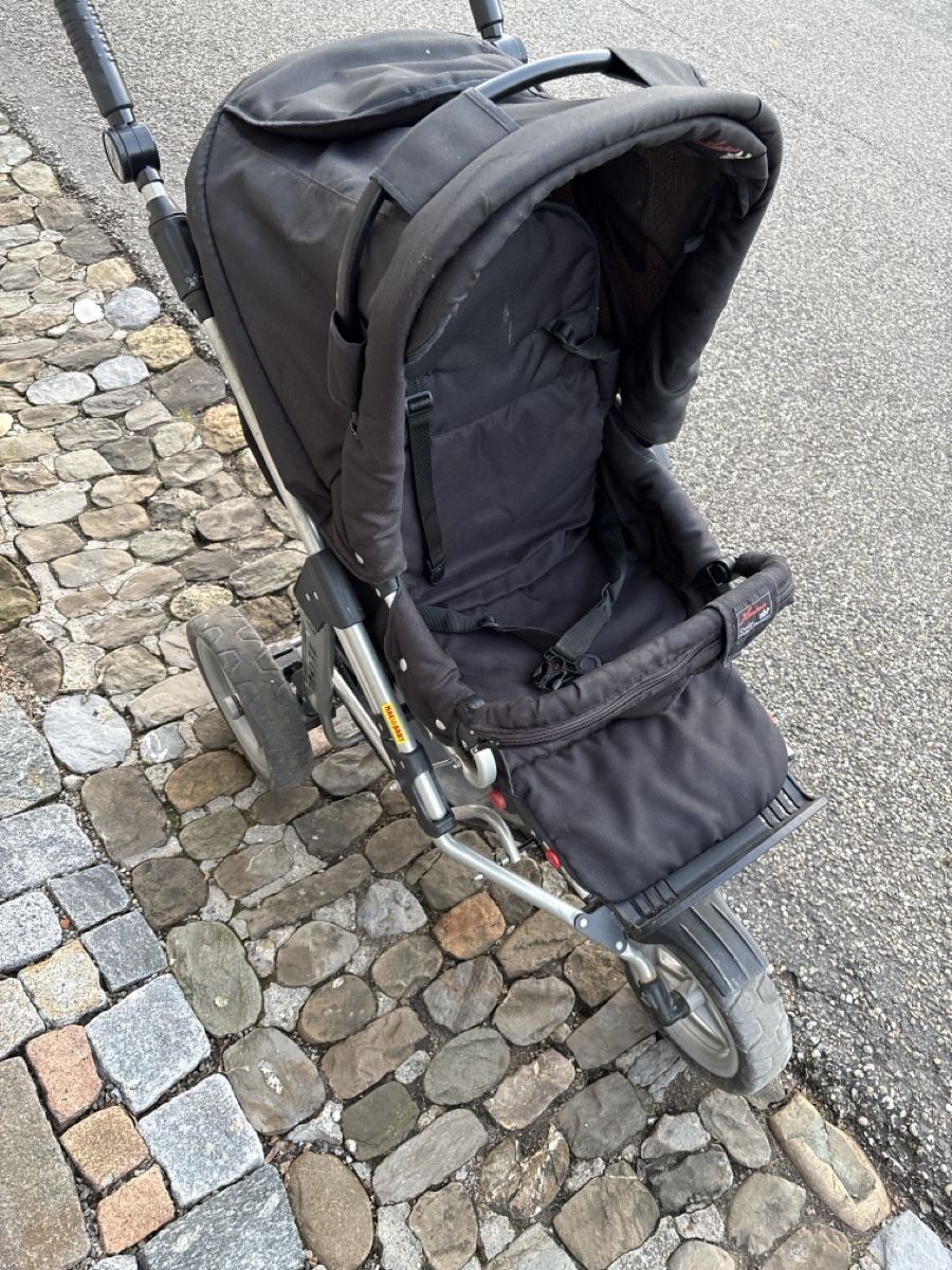 Hartan Carrozzine: Hartan Skater Kinderwagen Buggy – Difettoso da Sulzbach venduto da Kaeslin0 3