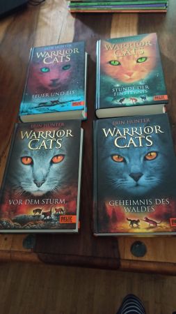 Bücher Warrior Cats