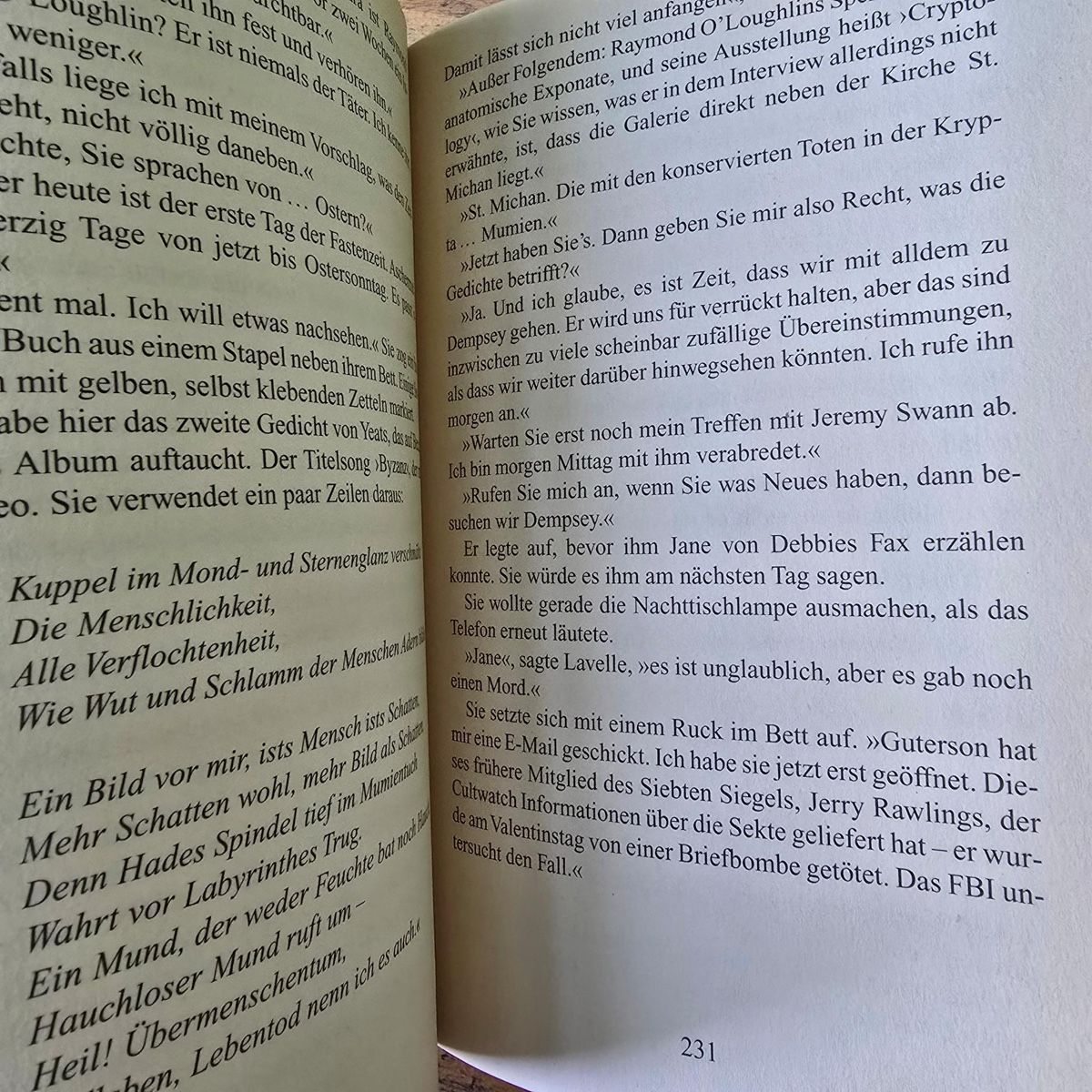Libri: Die Keltennadel von Patrick Dunne – Usato da Merlischachen venduto da Sheavy 6