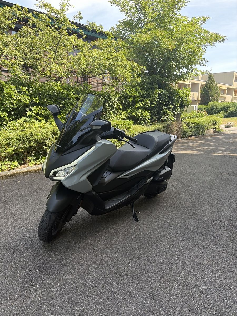 Honda Scooter: Honda NSS Forza 125 mit Topcase – Usato da Zürich venduto da mika81 2