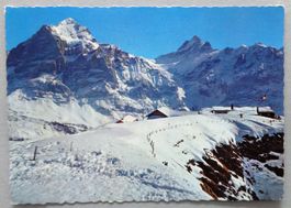 Grindelwald-First
