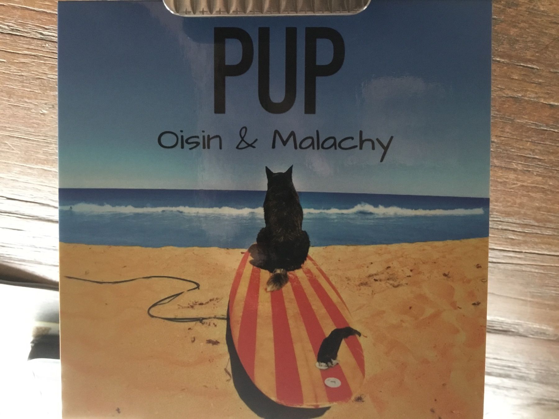 CDs: CD Pup Oisin & Malachy   s – Gebraucht aus Thierachern von sweden08