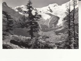Saas Fee 1961