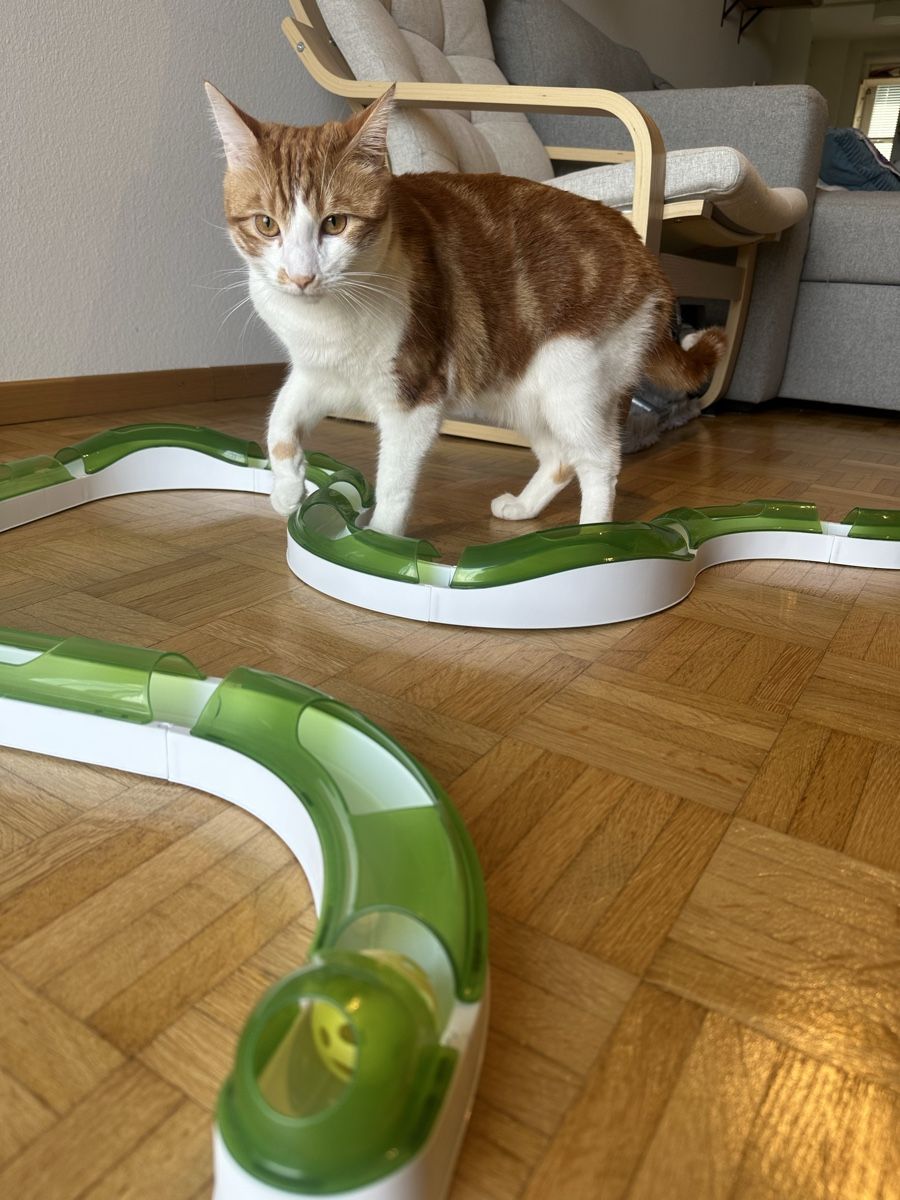 Spielzeuge: Catit Senses 2.0 – Gebraucht aus Lanzenhäusern von Lasiusbrunneus 2