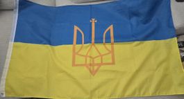 Ukraine Flagge