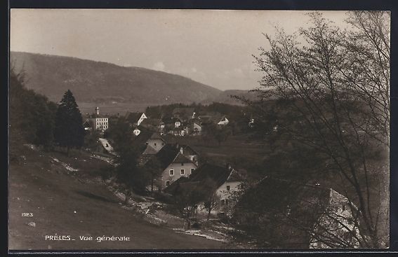 Cartoline postali: AK Prèles, Vue générale – Usato da Berlin venduto da bartko-reher