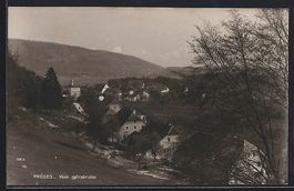 AK Prèles, Vue générale