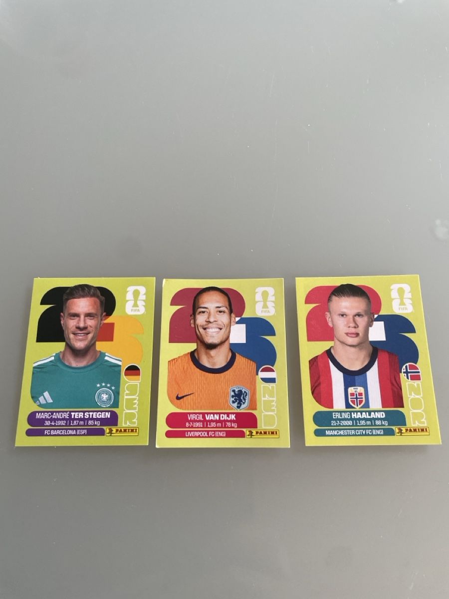 Panini Carte collezionabili: Panini Bilder GER 2/NED 2/ NOR 15 – Usato da Appenzell Steinegg venduto da Piba81