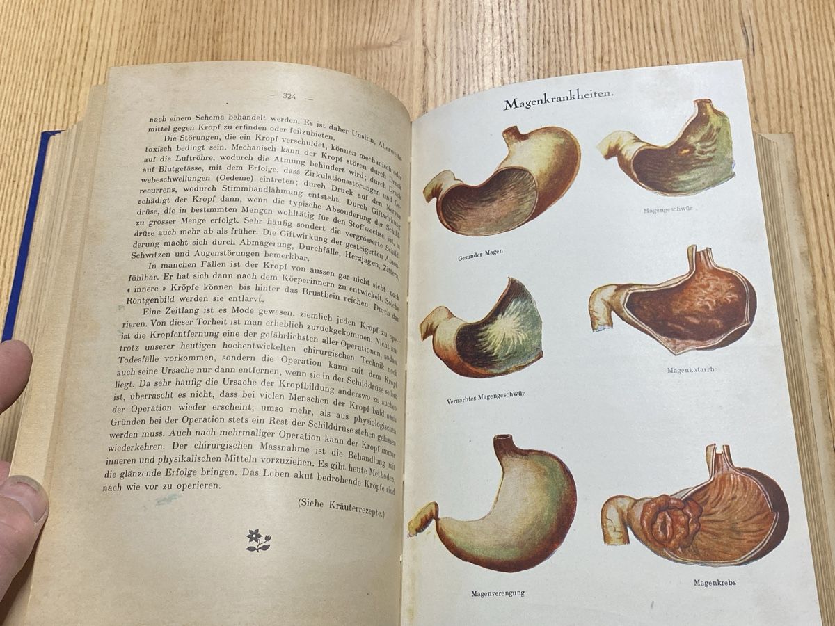 Libri: Selbsthilfe Gesundheitsbuch um 1900 – Usato da Mosnang venduto da Goldwasser 7