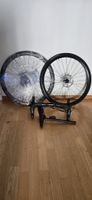 Orbea Avant H60 2024 Bj. Einsatz Teile