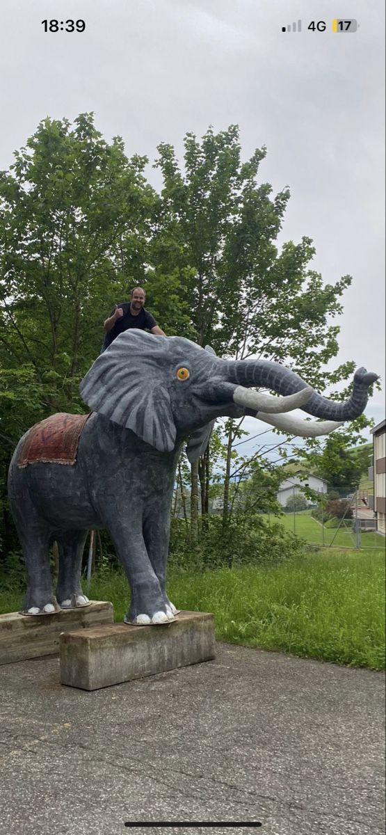 Statuette: Elefant Riesengross 4x3 Meter gross – Usato da Walde SG venduto da buenzli-1