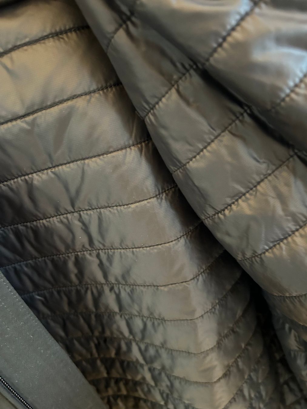 Lululemon Vestes: Lululemon Jacke (L) – Neuf (Voir description) à Bachenbülach par Sunsetblvd 2