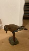 Geai des chênes naturalisé sur socle - Décoration