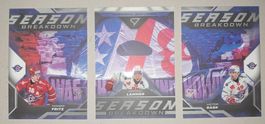 SportZoo Playoff, Season Breakdown, Rapperswil-Jona Lakers