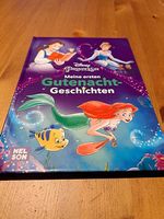 Meine ersten Gutenachtgeschichten Disney