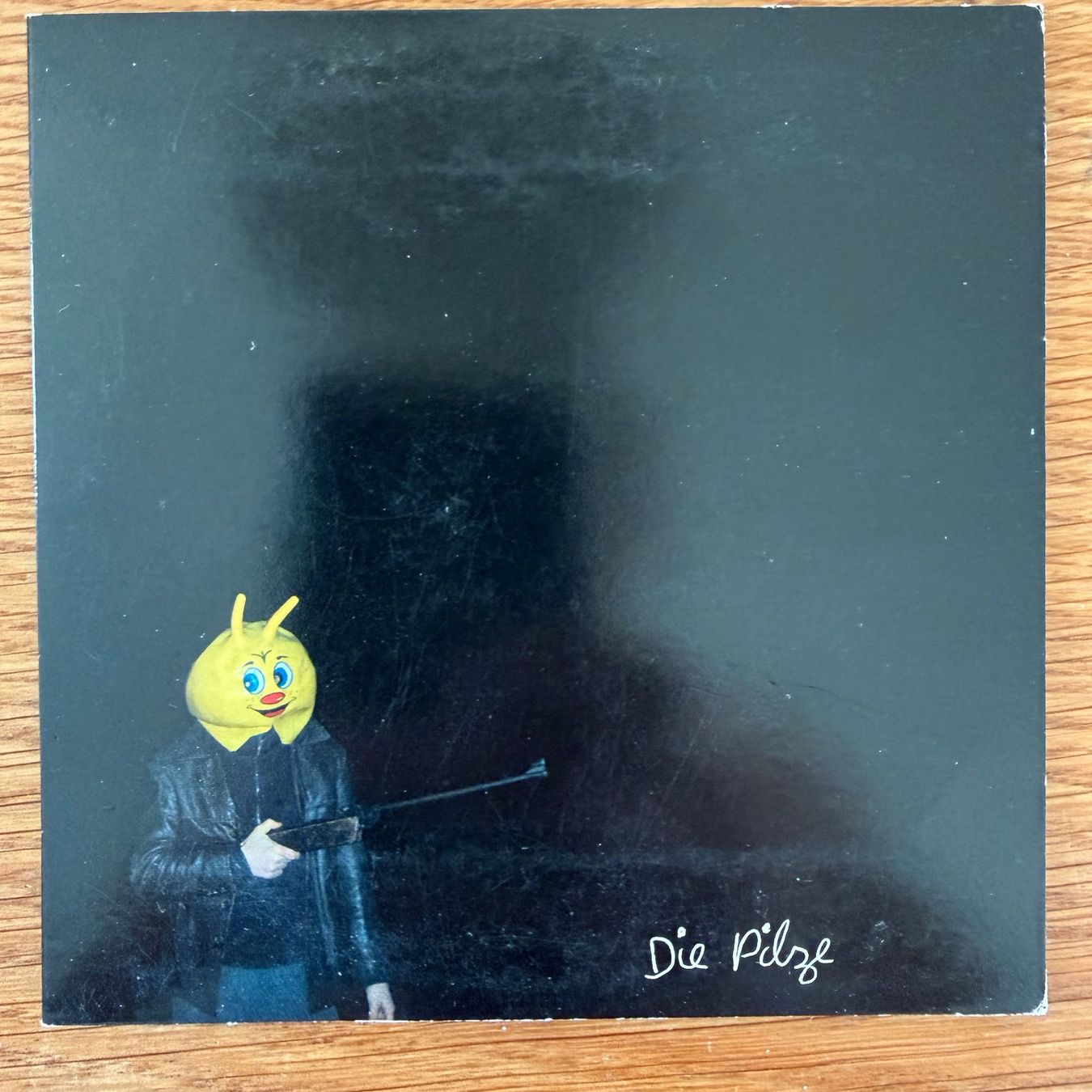 CD: Die Pilze (CD) Reising - Eberle - Baumann - Nussbaum -Müller – Usato da Zug venduto da Mirare9