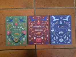 SORCIERE BOX - lot 3 livres sur les sabbat