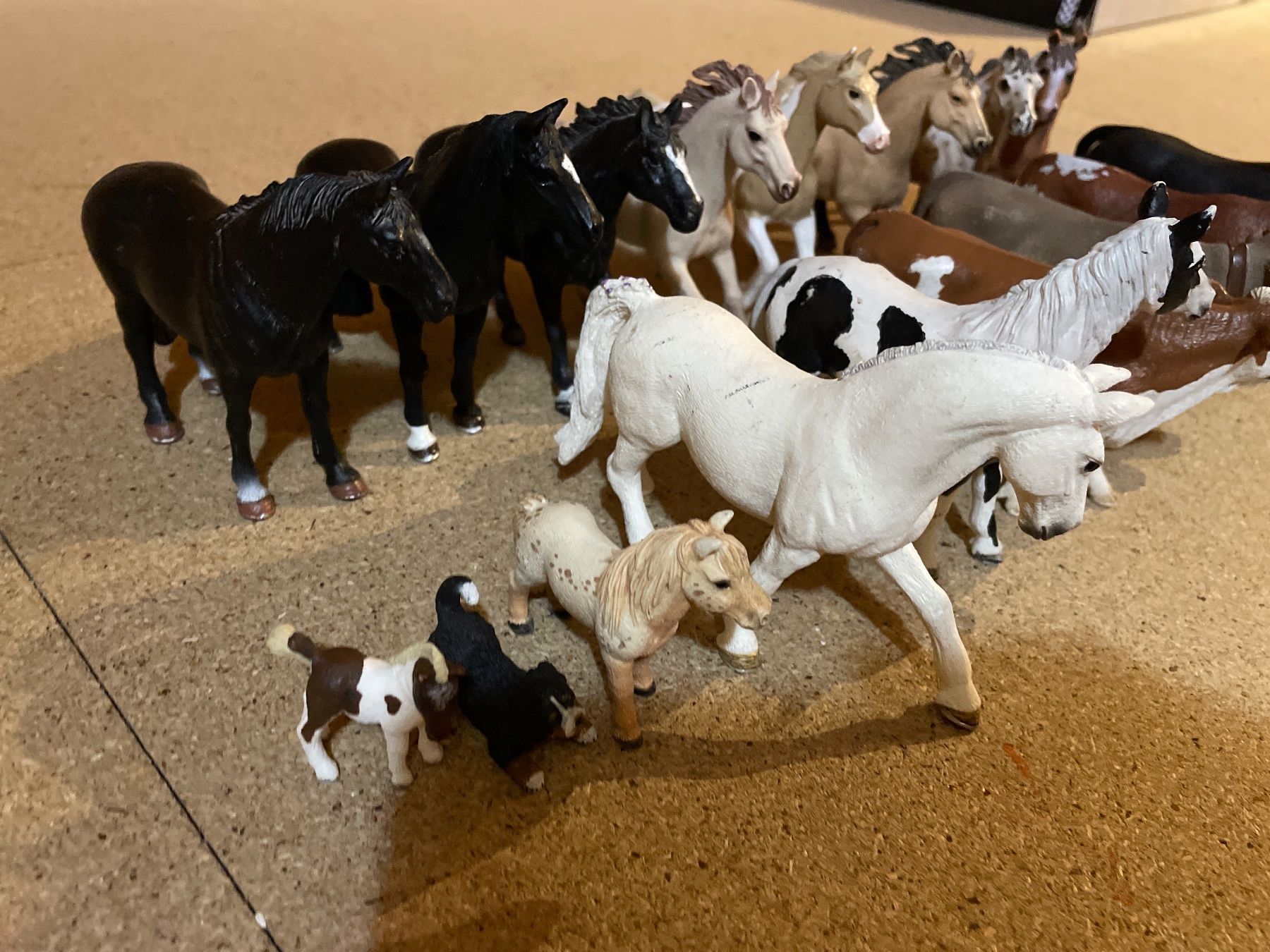 Schleich Spielzeuge: Schleichtier Set – Gebraucht aus Niederhasli von nic_65cm 1