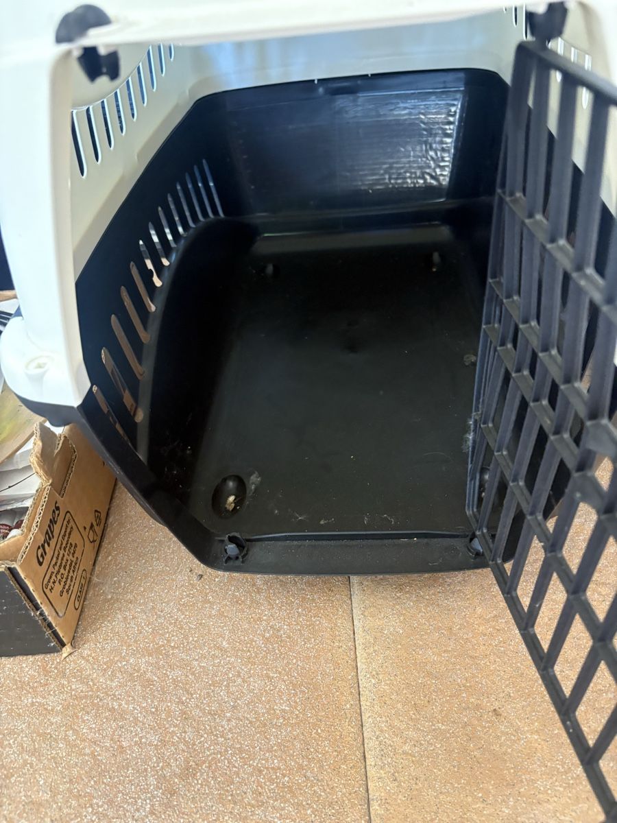 Niches, paniers: Katzentransportbox  – Neuf (Voir description) à aarwangen par mikemog 1