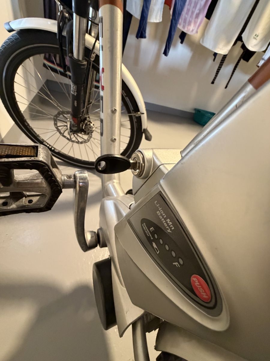 Flyer Biciclette: Elektrovelo Flyer – Usato da Kägiswil venduto da rezha 9