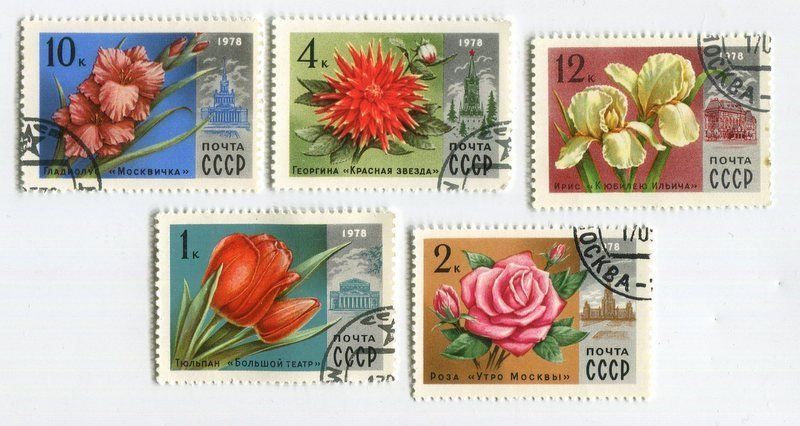 Tutti i francobolli: Briefmarken "Blumen". UdSSR. – Nuovo e nell'imballaggio originale da Basel venduto da Butsch5