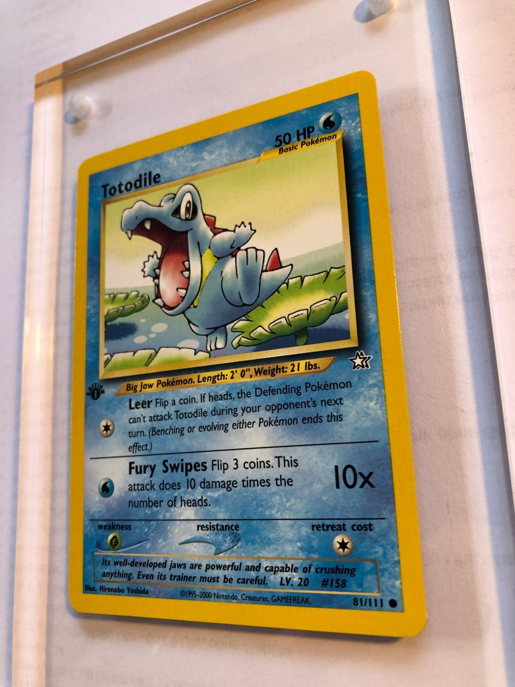 Sammelbilder & Trading cards: Totodile 1st Neo Genesis - MINT - ab 1.- – Gebraucht aus Giubiasco von dan_pr8b 2