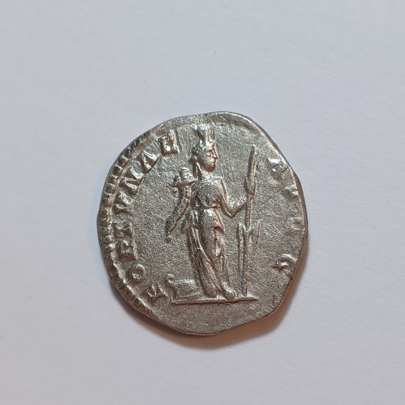 Tutti le monete: Denarius Septimius Severus (193-211) Römisches Reich – Usato da Pfäffikon ZH venduto da Antike_Muenzen 1