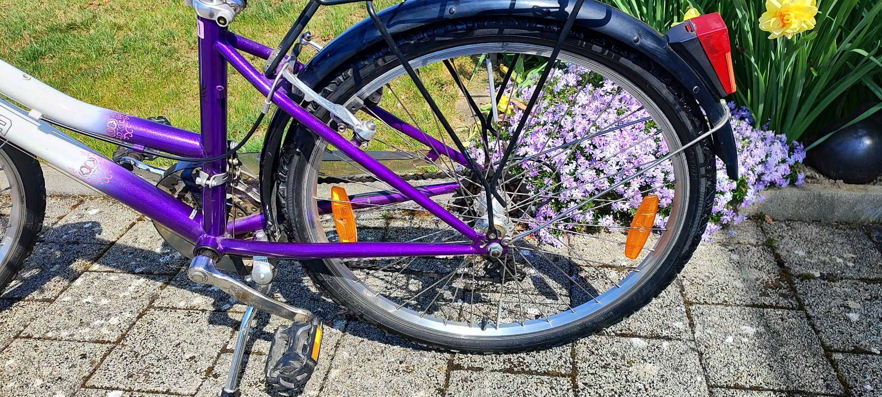 Biciclette: Mädchenvelo 24 Zoll California – Usato da Schlatt TG venduto da Steff000 1