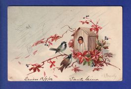 OISEAU - Maisonnette