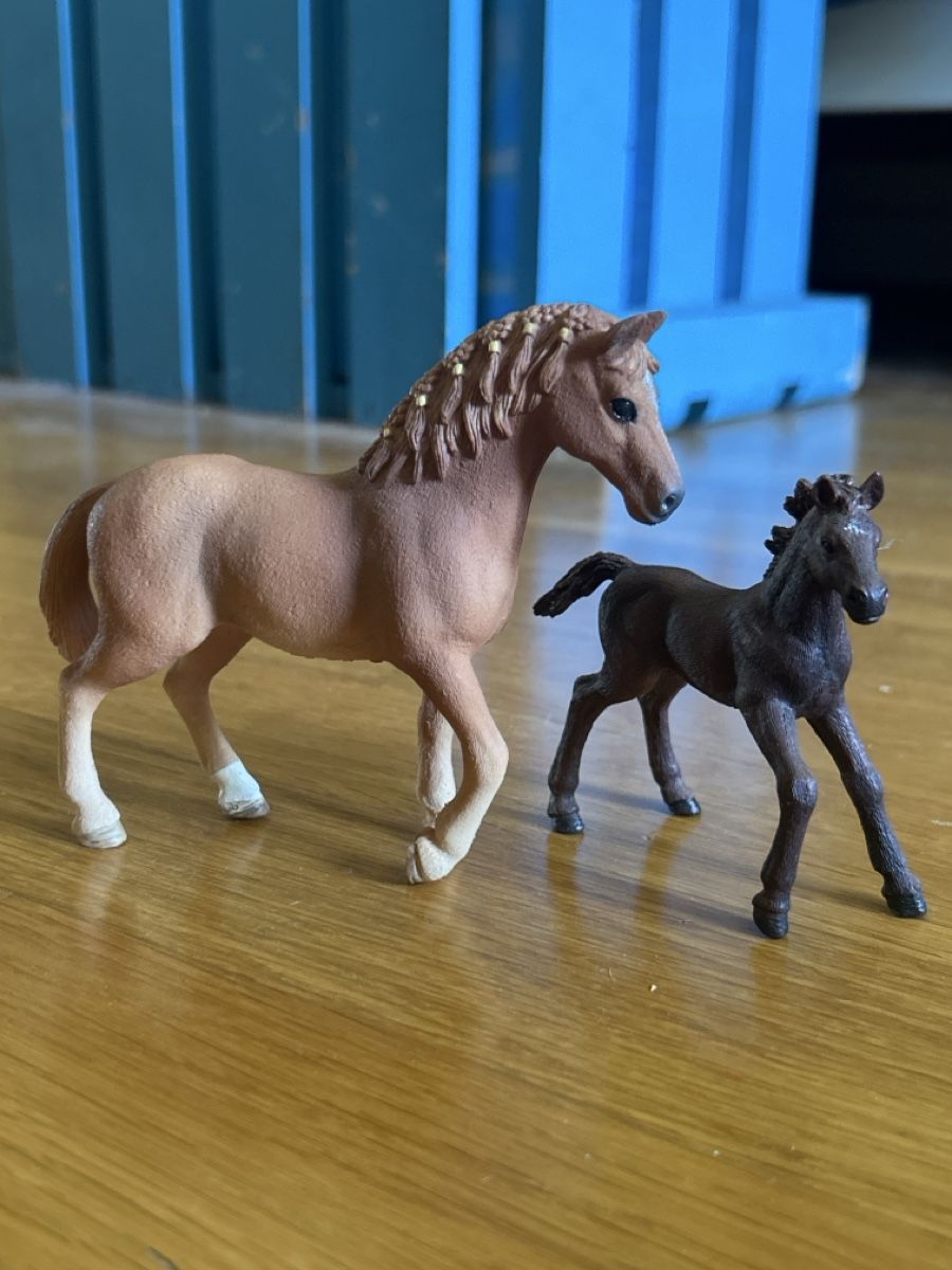 Schleich Giocattoli: Schleich Pferde Fohlen und Stute – Nuovo (secondo la descrizione) da Zürich venduto da Kascha.B.