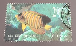 China 1998 briefmarke