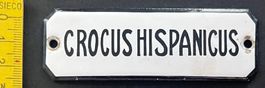 CROCUS HISPANICUS/ Schild Emaille Vintage