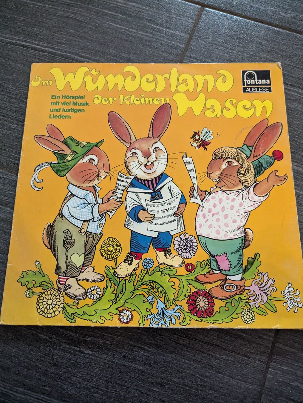 Dischi in vinile: Schallplatte im Wunderland der kleinen Hasen – Usato da Wangen ZH venduto da Nadja056
