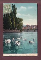 GENEVE - Ile Rousseau - Cygnes - 1907