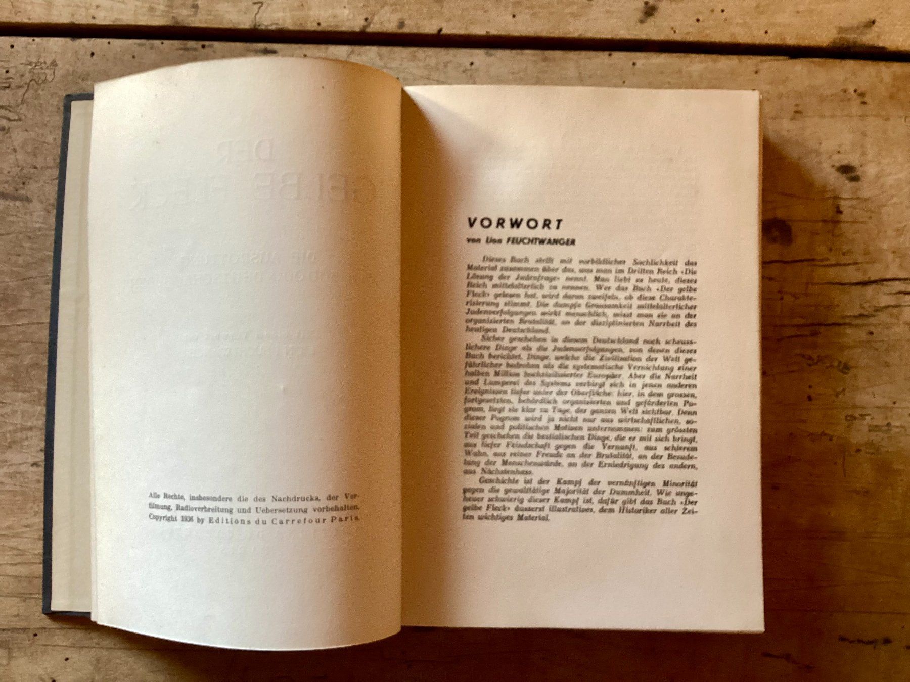 Bücher: Der gelbe Fleck, Feuchtwanger, Antisemitismus, Judaica – Gebraucht aus Ronco sopra Ascona von R66sA22 3