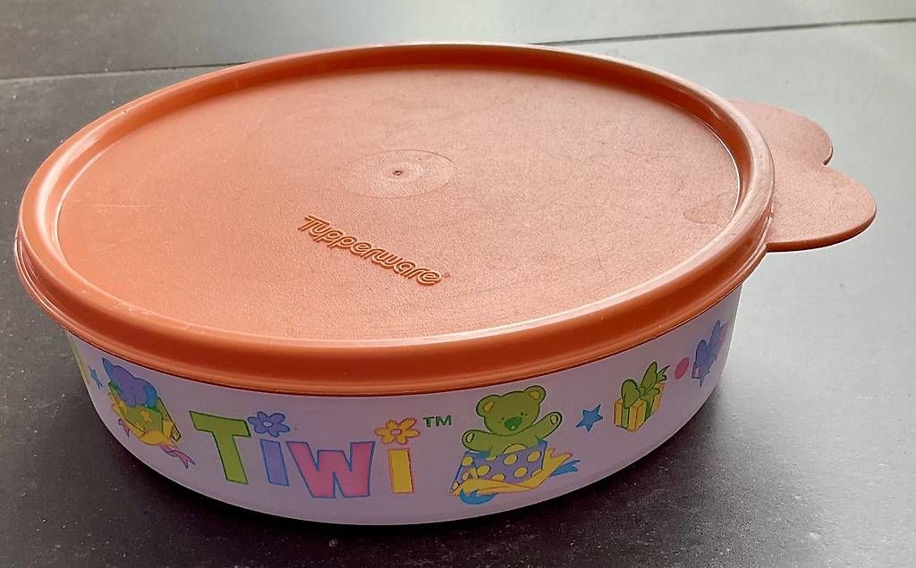 Tupperware Contenitori & Simili: Piatto Tupperware – Usato da Gordola venduto da lar_x2p9