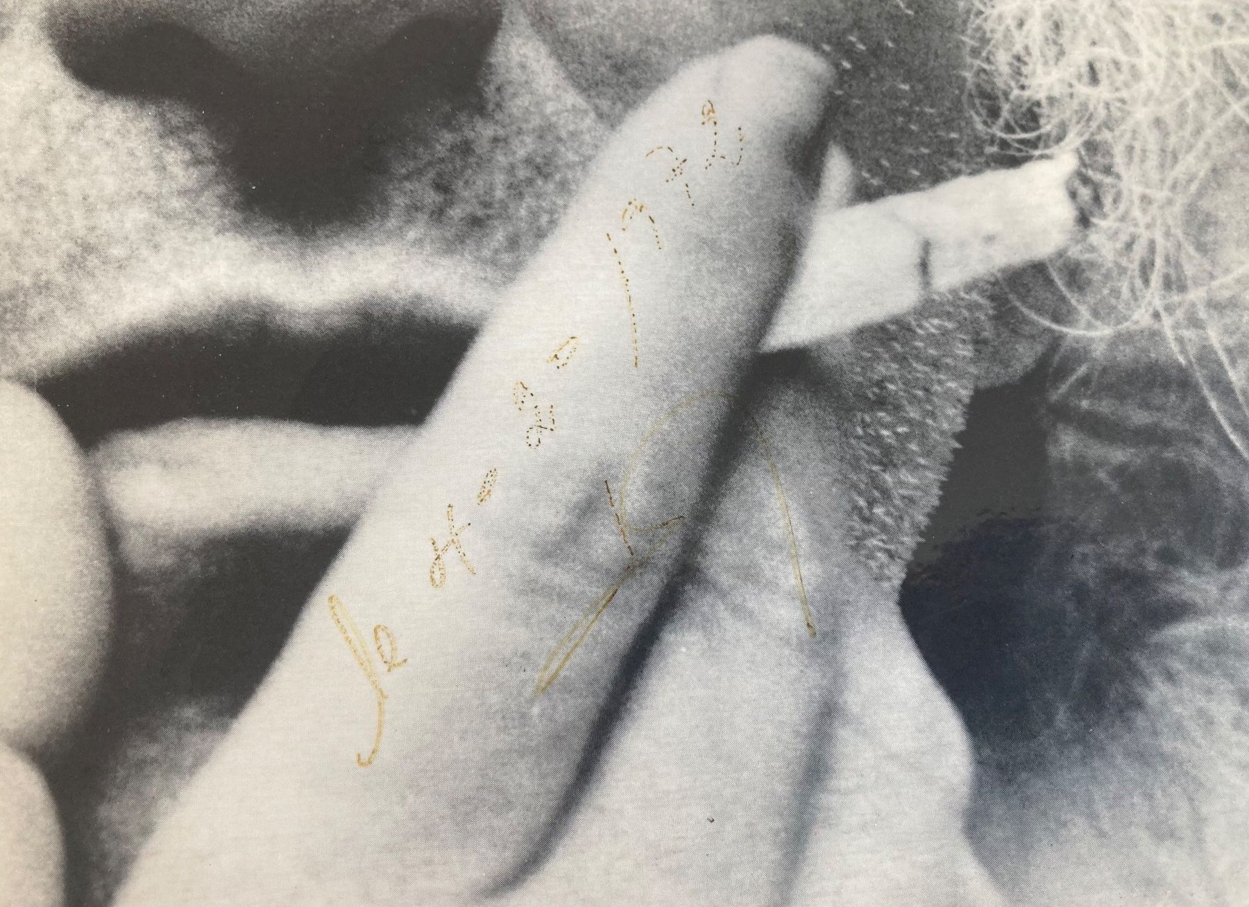 Dischi in vinile: LEO FERRÉ – Usato da Poliez-Pittet venduto da Newtown-Records 4