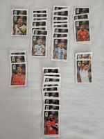 WM 26 Coca Cola Panini Sticker (doppelte)