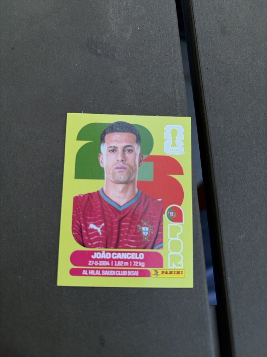 Panini Carte collezionabili: João Cancelo – Nuovo (secondo la descrizione) da Dornach venduto da metallbau.ch