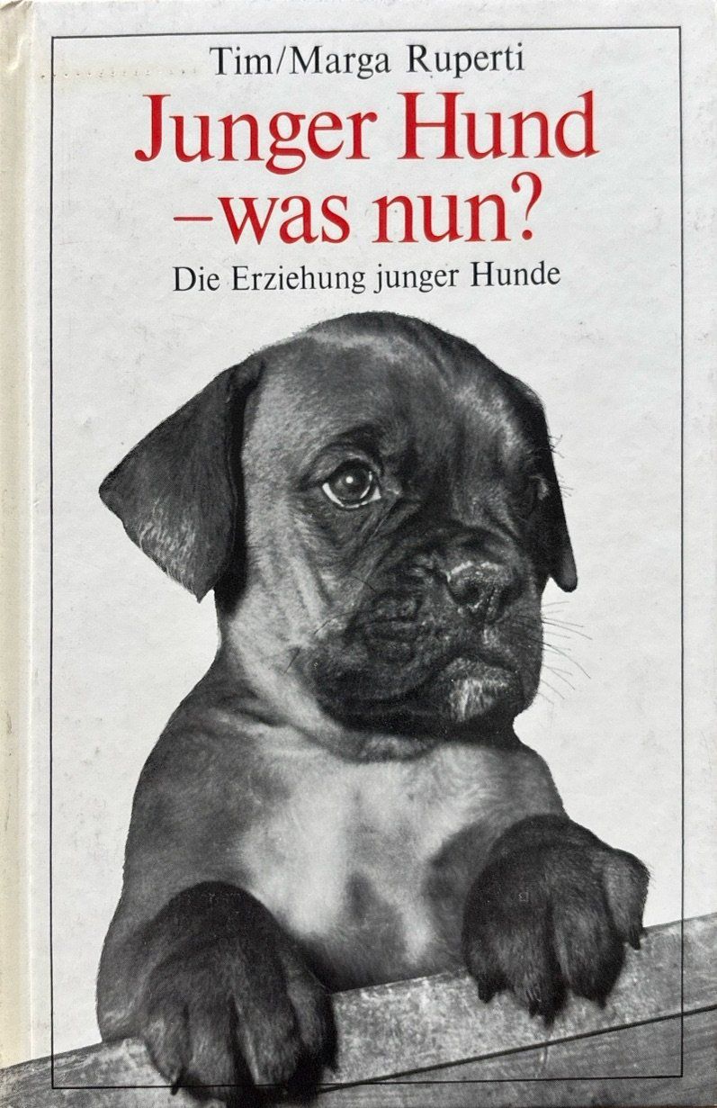 Libri: Junger Hund - was nun? – Usato da Sarnen venduto da Livres