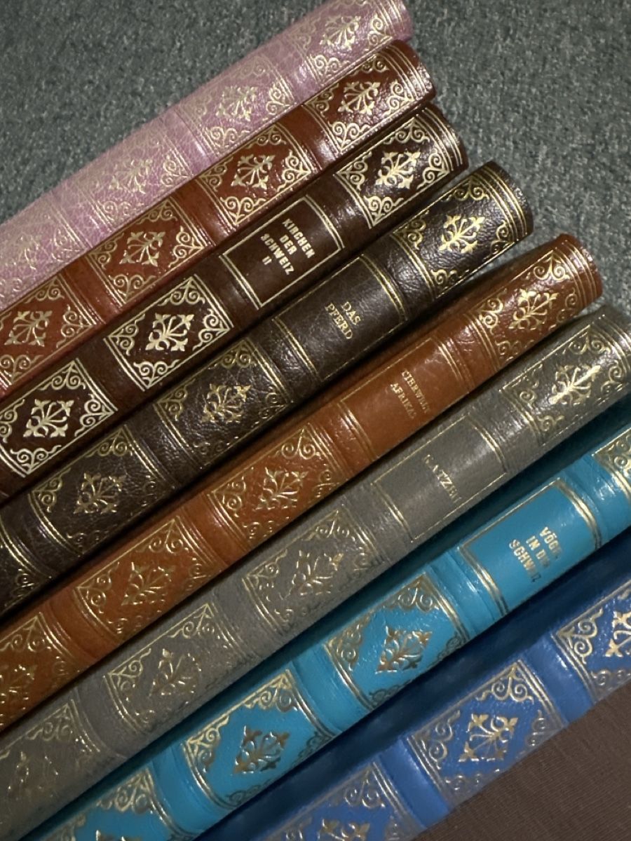 Libri: 8 Avantibücher – Usato da Baltschieder venduto da YmroBe