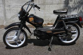Pony 503 GTX Kat