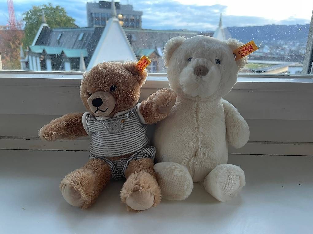 Steiff Giocattoli: Steiff Teddybären: Eisbär & Braunbär – Usato da Zürich venduto da Medulla 1