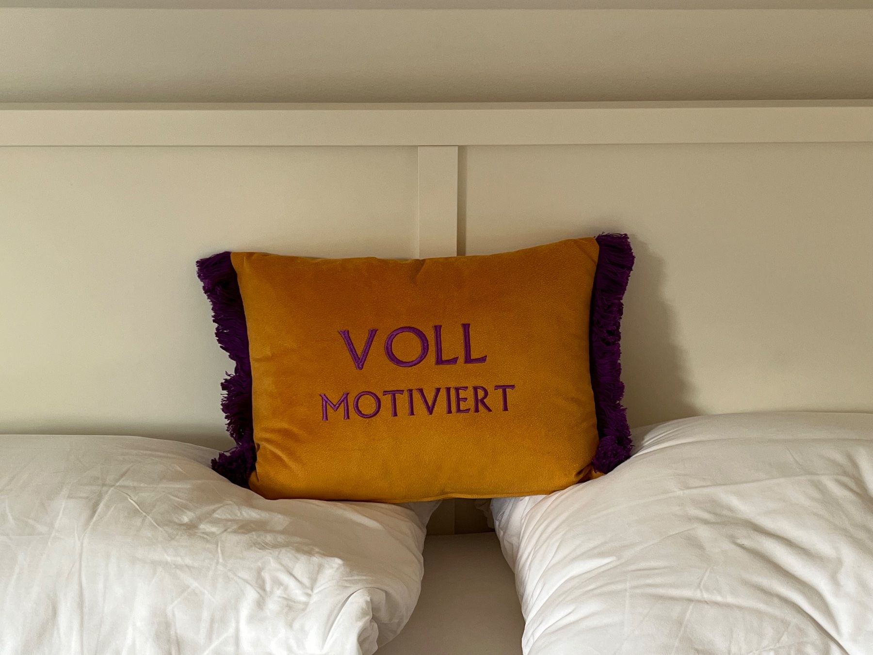Cuscini: Dekoratives Wendekissen null bock vs voll motiviert – Usato da St. Gallen venduto da Flo_sv8c 3