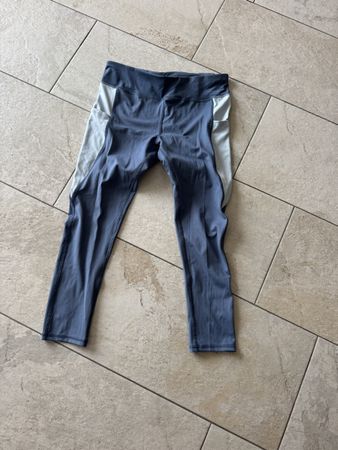 Reitleggins Gr.M