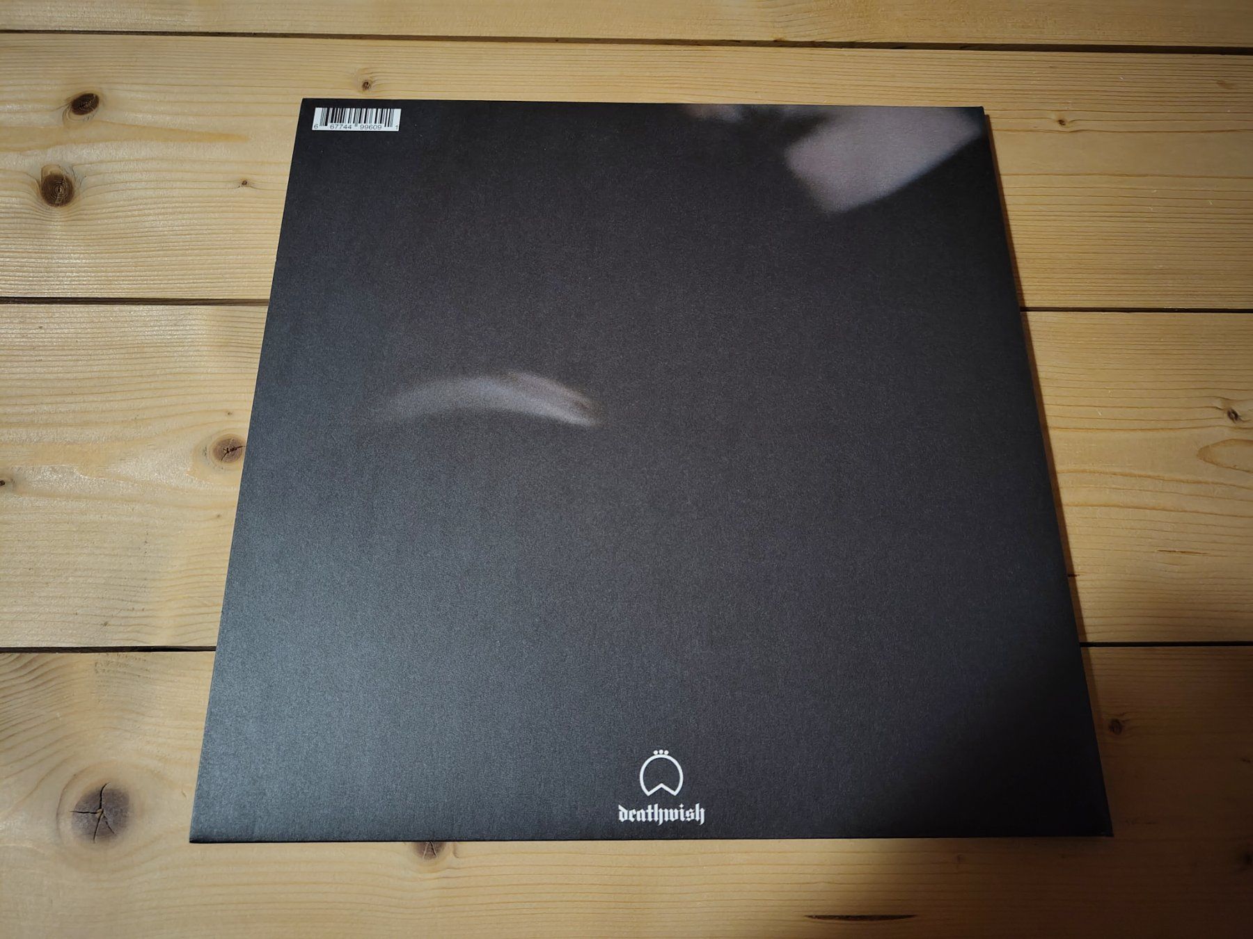 Schallplatten: Birds In Row - We Already Lost The World – Gebraucht aus Wasterkingen von Palu17 2