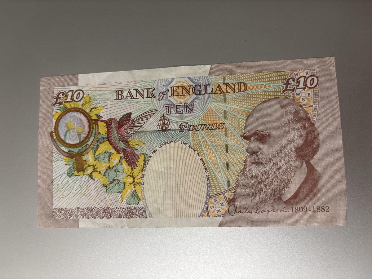Banconote: England 10 Pfund 2011-2014 – Usato da Le landeron venduto da santa_99 1