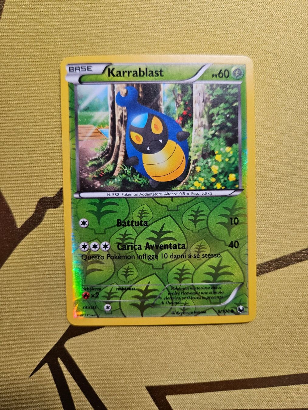 Pokémon Carte collezionabili: Dark Explorer - Karrablast – Usato da Bellinzona venduto da Pokemarco
