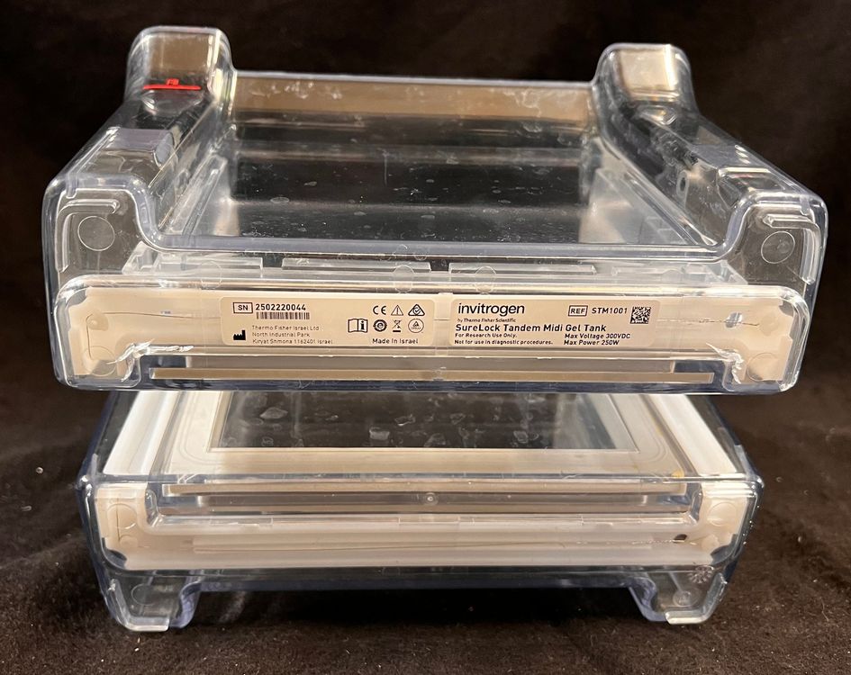 Thermo Fisher invitrogen SureLock Tandem Midi Gel Tank Kaufen auf Ricardo
